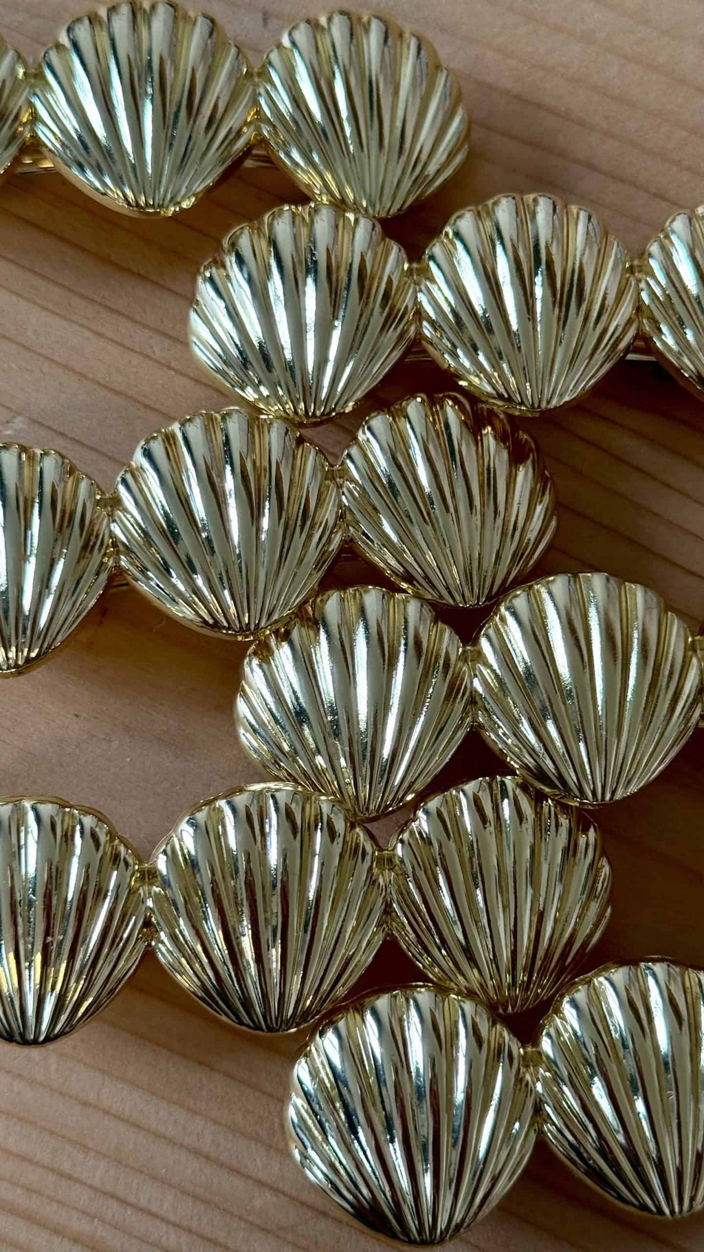 Barrette Compostelle