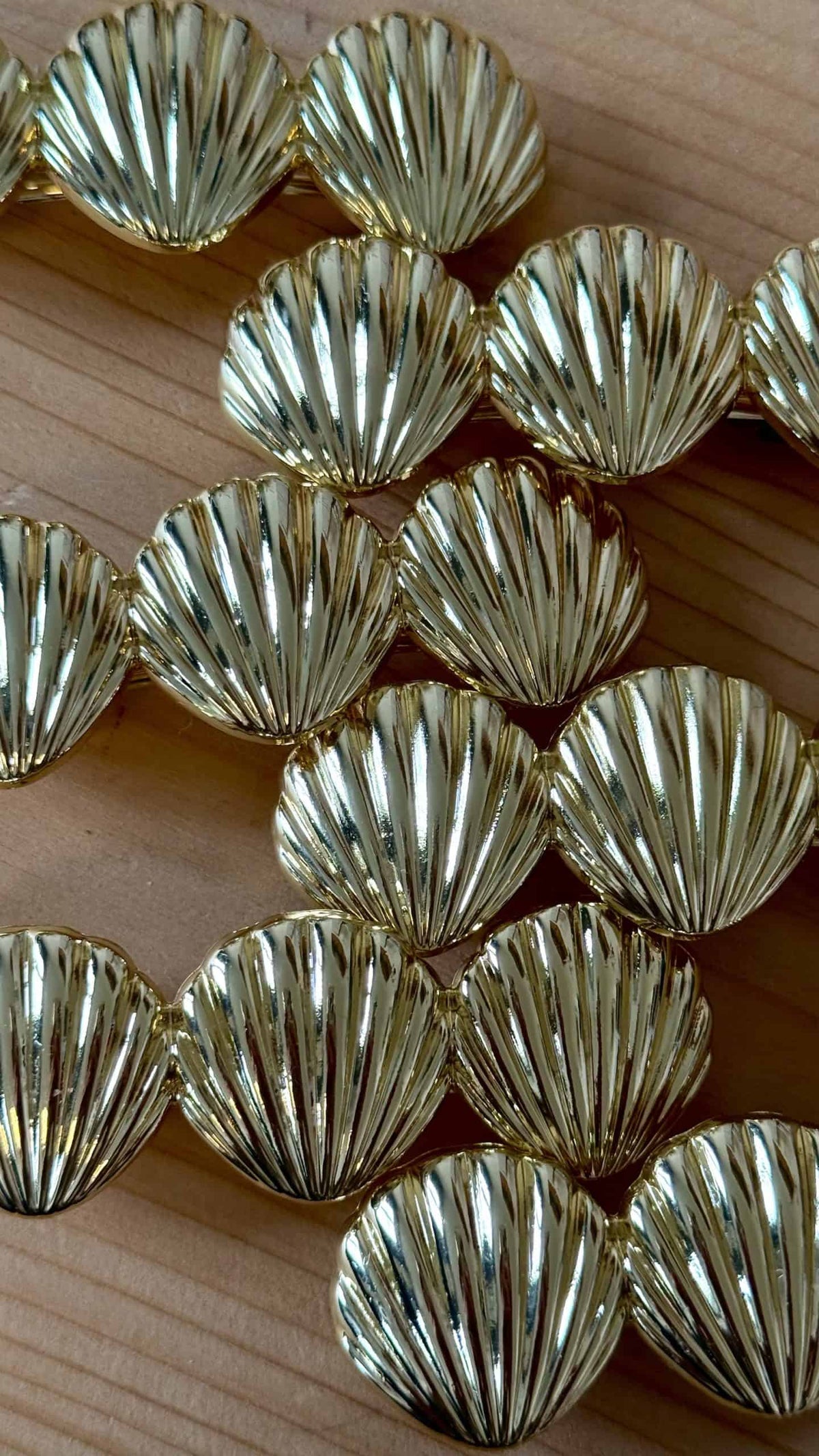 Barrette Compostelle