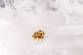 Boucles Solene